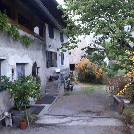 Domaine De La Safraniere - Chambre D'Hote Saint-Léger Buitenkant foto