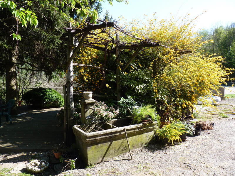 Domaine De La Safraniere - Chambre D'Hote Saint-Léger Buitenkant foto