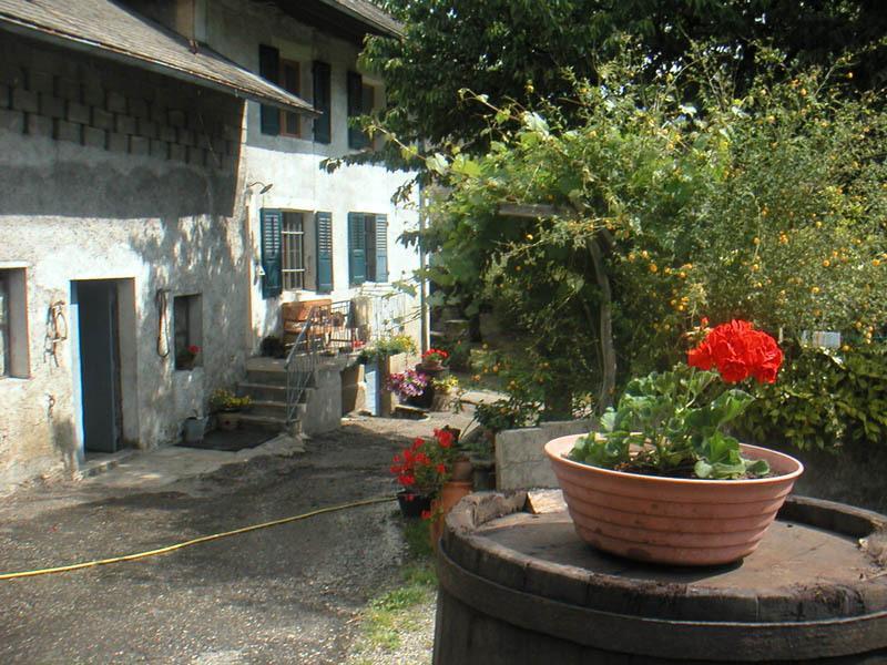 Domaine De La Safraniere - Chambre D'Hote Saint-Léger Buitenkant foto