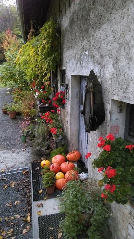 Domaine De La Safraniere - Chambre D'Hote Saint-Léger Buitenkant foto